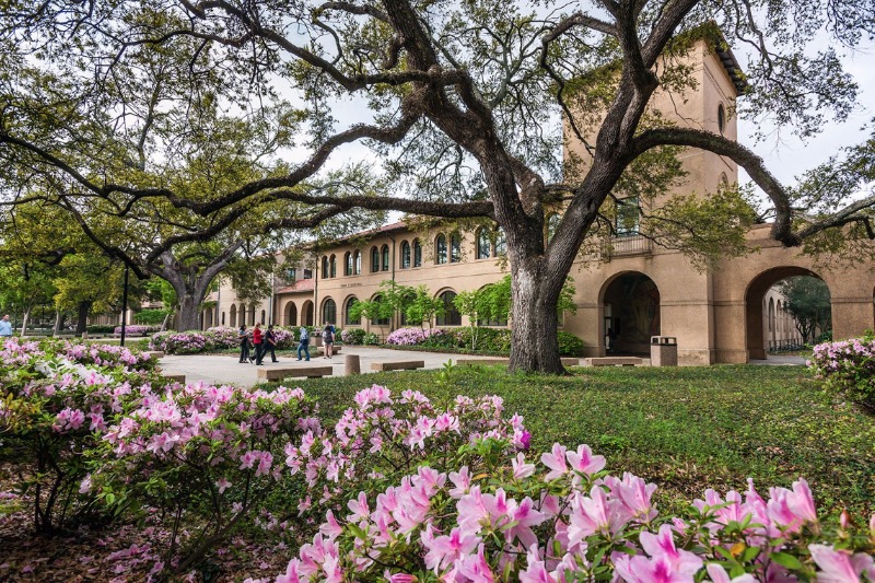 lsu campus flowers