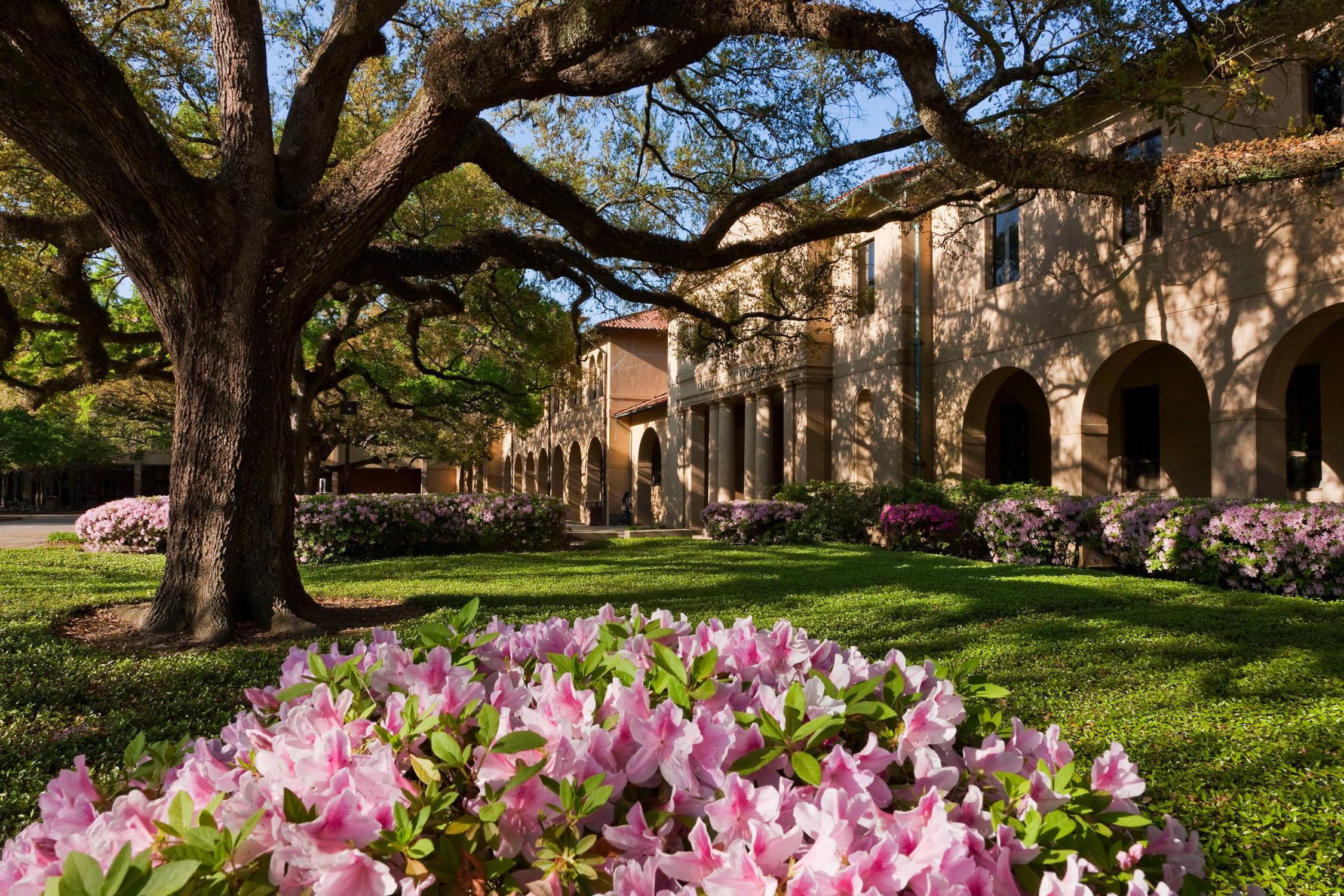 LSU buildings