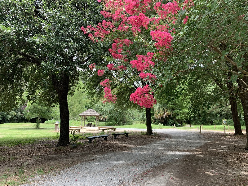 abroretum with wood benches, pond, and blooming pink crepe myrtles