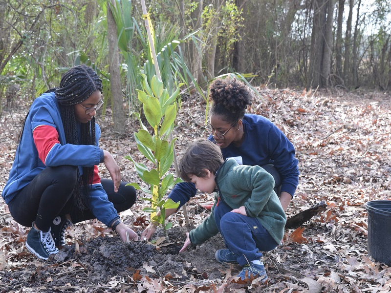 children planting a tree