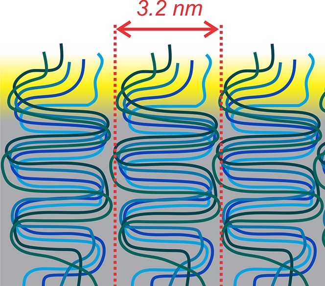 Polythiophene thin film image