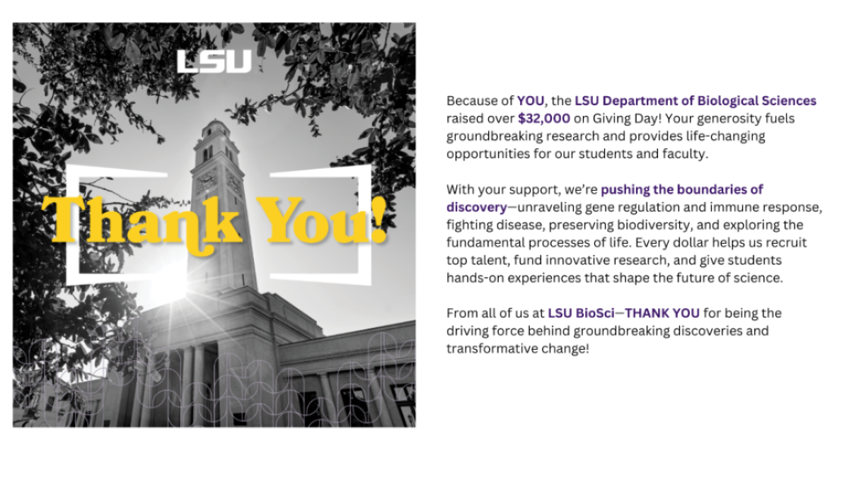 lsu giving day